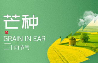 今日芒種丨愿你“芒”有所獲，“種”有所得